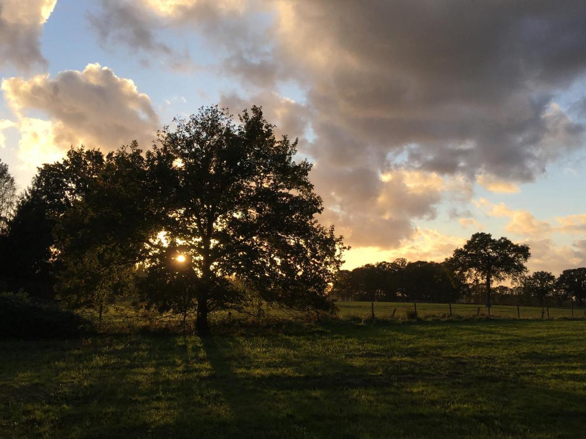 Vakantiewoning Pelterheggen Grote Heide 외부 사진