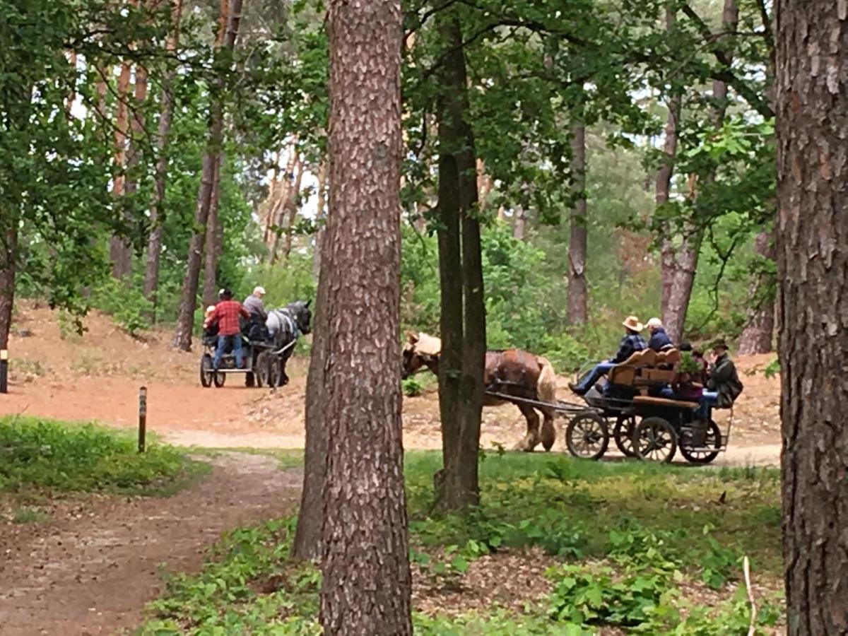 Vakantiewoning Pelterheggen Grote Heide 외부 사진