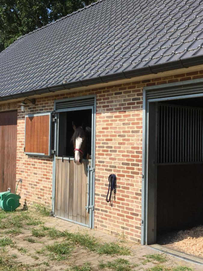 Vakantiewoning Pelterheggen Grote Heide 외부 사진