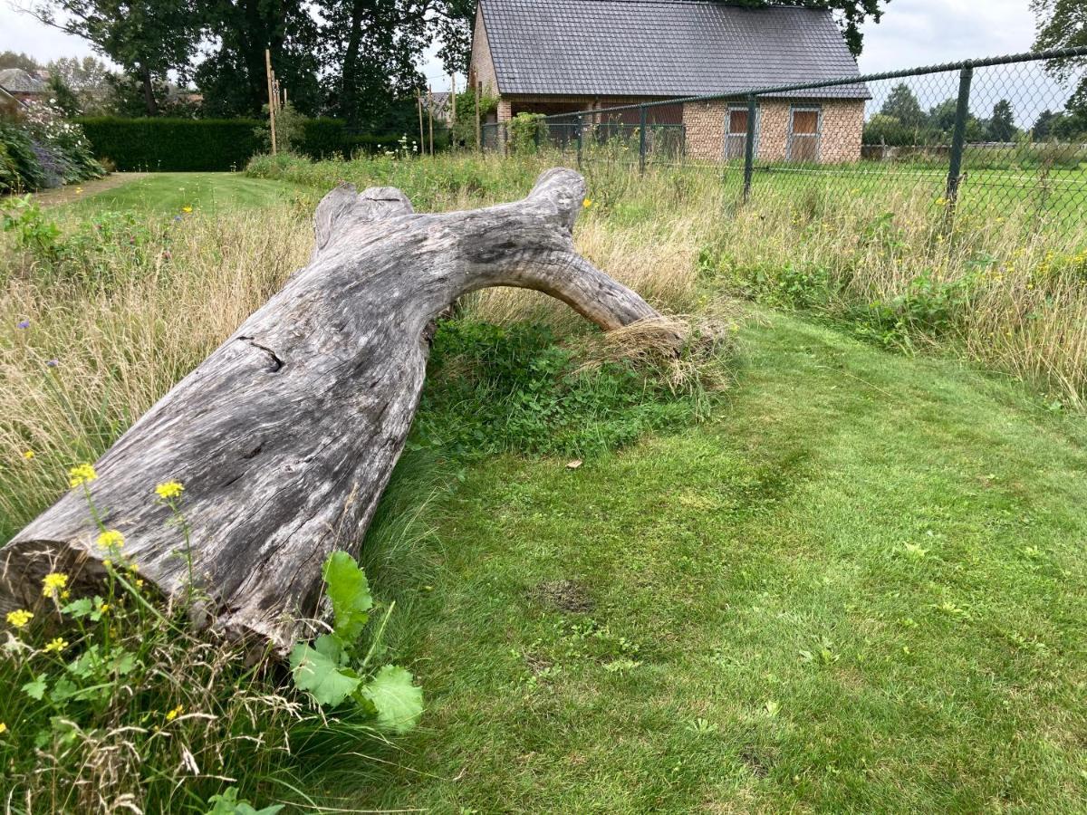 Vakantiewoning Pelterheggen Grote Heide 외부 사진