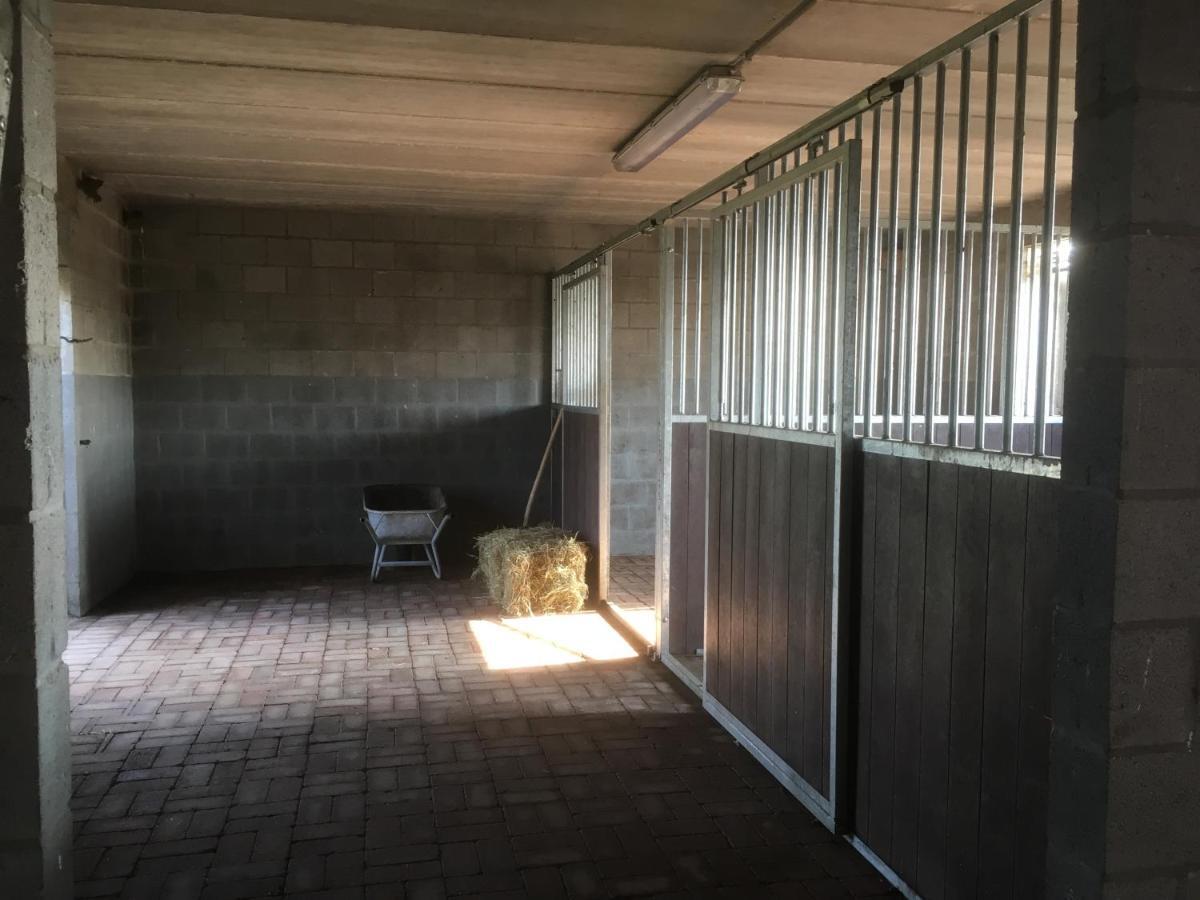 Vakantiewoning Pelterheggen Grote Heide 외부 사진